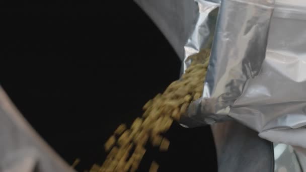 Наливание солодовых зерен в большой фрезерный бак в пивоварне — стоковое видео
