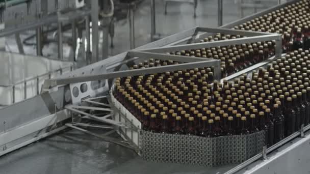 Gooi glazen flessen in de fabriek. Transportband met glazen flessen. Productieproces van alcoholhoudende dranken — Stockvideo