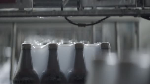 Фабрика бутылок пива. Пакет с пивными бутылками движется по конвейеру. — стоковое видео