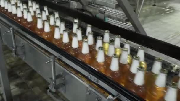 Bouteilles de bière jaunes se déplace ceinture à l'usine de bière. — Video