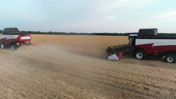 Cosechadoras combinadas que trabajan en el campo de trigo — Vídeos de Stock