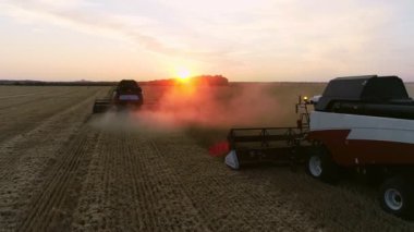 Buğday hasadı. Hasatçı tarlada buğday hasat eder. Hasat. Tarım. Tarım teknolojisi. Yukarıdan görünüm.