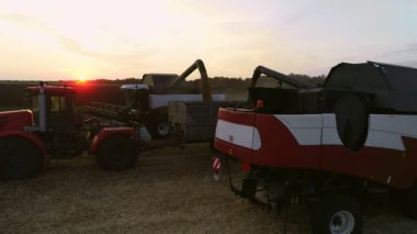 Hasatçılar traktör römorkuna buğday yükler ve arka planda gün batımı olur.
