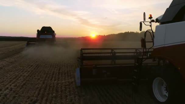 Vista aerea del raccolto del grano. Drone colpo volare sopra tre mietitrebbie che lavorano sul campo di grano. Funziona stasera — Video Stock