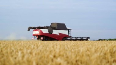 Buğday tarlasını hasat etmek için biçme makinelerinin yan görüntüsü. Buğday tarlalarını hasat eden tarım makinelerini birleştirin..