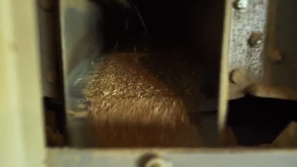 Máquina para separar trigo, hey y — Vídeos de Stock