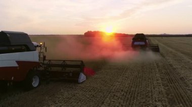 Buğday hasadı. Hasatçı tarlada buğday hasat eder. Hasat. Tarım. Tarım teknolojisi. Yukarıdan görünüm.