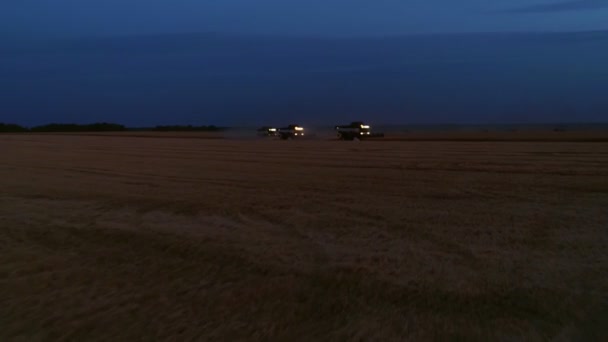 Widok z lotu ptaka na kombajn zbożowy ze światłami pracy na polach pszenicy nocnej. — Wideo stockowe