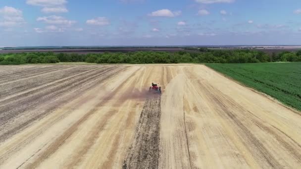 Mezőgazdasági földterület vonalak és mezőgazdasági termelő traktorral. Traktor a porban dolgozik a terepen. — Stock videók