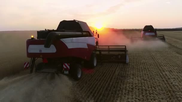 Veduta aerea del grano tre silhouette di raccolti opere in campo con tramonto su sfondo. — Video Stock