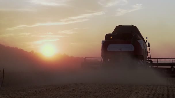 Вид с воздуха на пшеницу три силуэта урожая с закатом на заднем плане — стоковое видео
