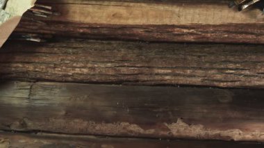 Erkek ressam deri çantayı aletler, fırçalar ve palet bıçağıyla açar.