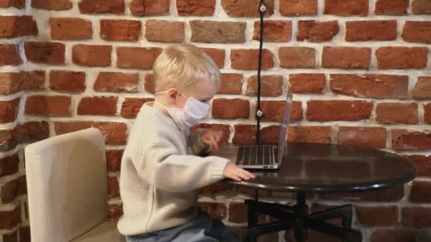 Cute little boy siedzi w kawiarni taping keyboard notebook — Wideo stockowe