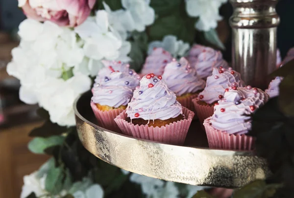 Violett cupcakes på chokladkaka, närbild — Stockfoto