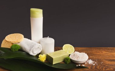 Ev ya da salon kaplıca tedavisi, kopya alanı için doğal kozmetik