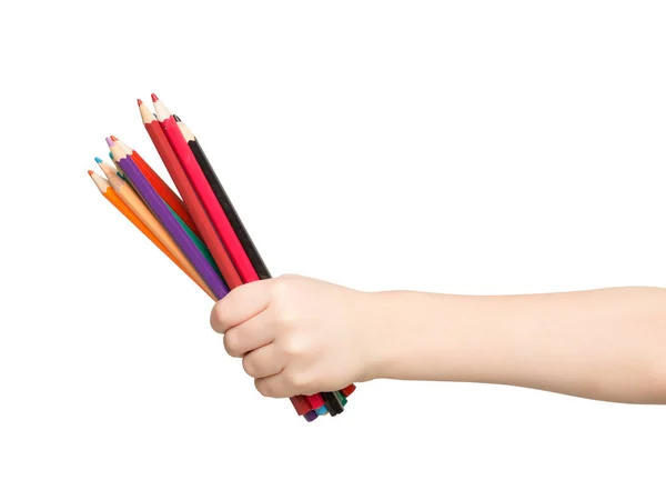 Childrens hand holding colorful pencils isolated — Stock Photo, Image
