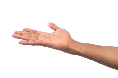 Beyaz izole palmiye açık tutan adam