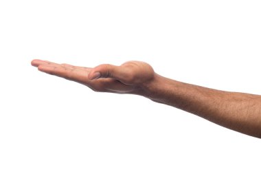 Beyaz izole palmiye açık tutan adam