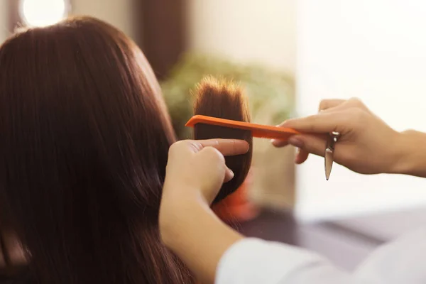Cabeleireiro corte de cabelo castanho com tesoura — Fotografia de Stock