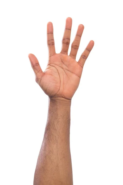 Offene schwarze Handfläche oder isoliert auf weiß zählend — Stockfoto