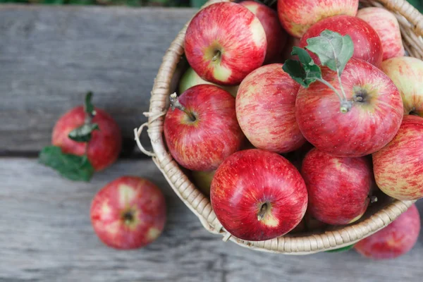 Cesta con montón de cosecha de manzana en el jardín de otoño — Foto de Stock