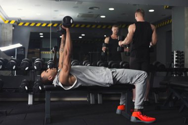İki sportif erkek spor salonunda dumbbells ile egzersiz. Kas çocuklar egzersiz halter ekipman, kopya alanı yapıyor