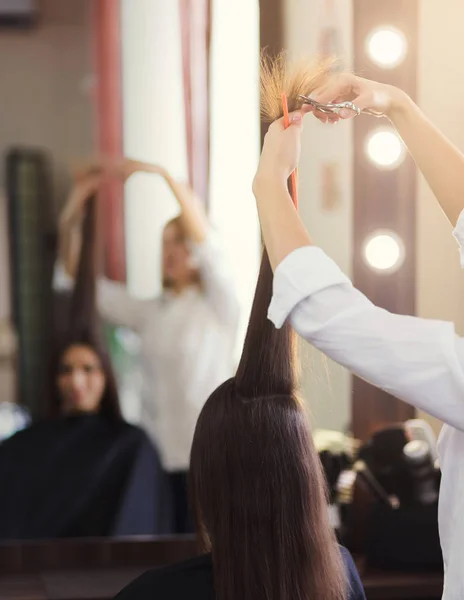 Парикмахер стрижет длинные каштановые волосы ножницами — стоковое фото