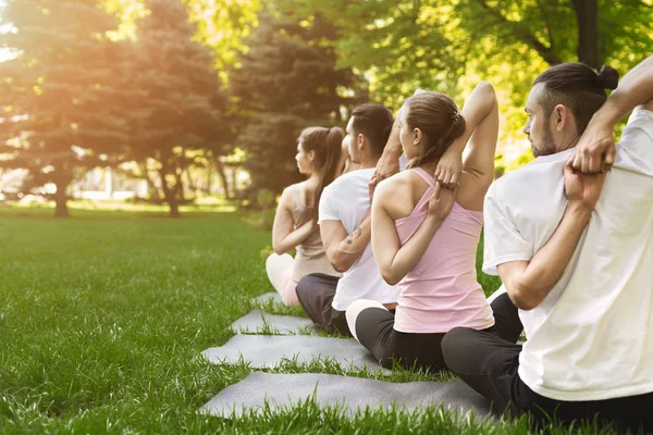 Grupo de personas que practican yoga en el parque — Foto de Stock