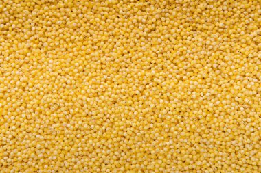 Ham darı kabuğu çıkarılmış tane doku