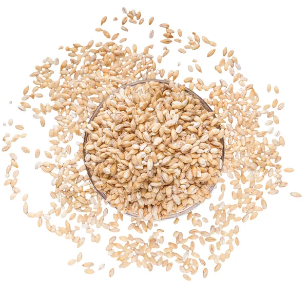 Зерна пшениці в мисці на білому тлі — стокове фото