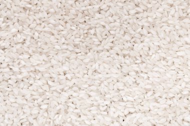 Beyaz pirinç pişmemiş doku