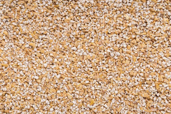 Barley seeds background — Stock Photo, Image