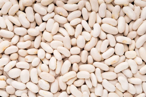 白インゲン豆の背景 — ストック写真