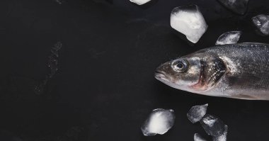 Taze deniz levreği başı siyah arka plan üzerine