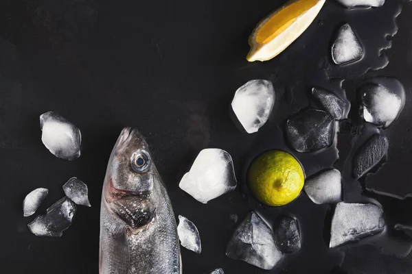 Fresh sea bass head on black background — Stock Photo, Image