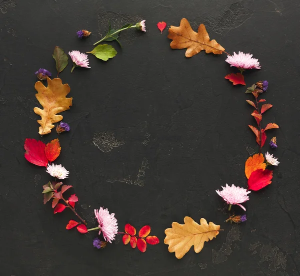 Kleurrijke herfstbladeren in cirkelframe geïsoleerd op wit — Stockfoto