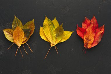 Sonbahar Mevsimlik arka plan, renkli kül bırakır