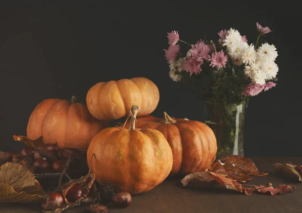 Beautiful pumpkins with leaves and chestnuts on black background