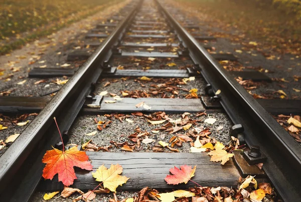 Railway strewn with fallen autumn leaves — Stock Photo, Image