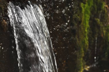 Düşen su portre. Ormandaki küçük şelale