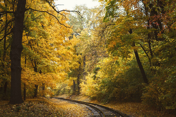 Fall landscape with railway tracks running through autumn forest