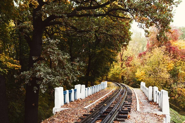 Fall landscape, Railway tracks running through autumn forest — Stock Photo, Image