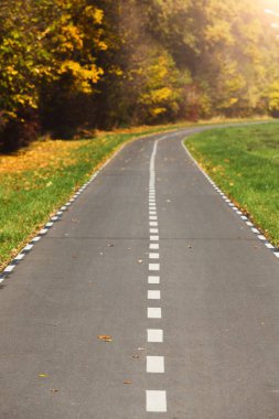 Sonbahar sahne kırsal Road altın ağaç ve yaprak