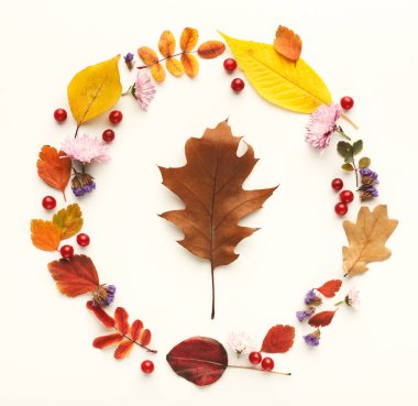 Beyaz izole daire çerçevesindeki renkli sonbahar yaprakları