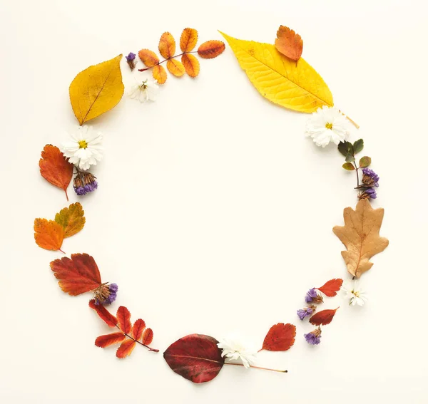 Outono folhas coloridas em círculo quadro isolado em branco — Fotografia de Stock