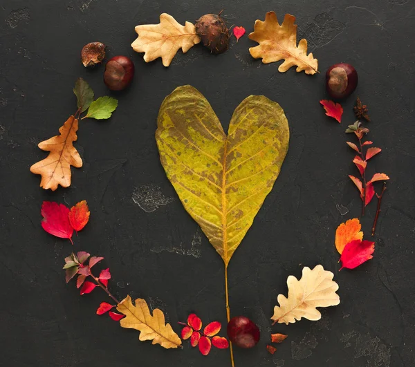 Autumn colourful leaves frame on dark background