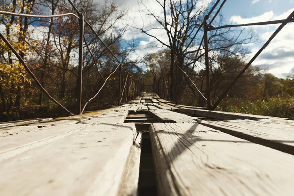Old abandoned wooden bridge in forest — Stock Photo, Image