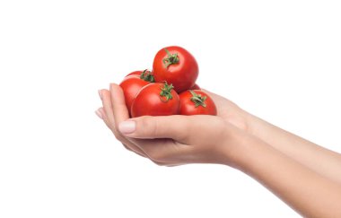 Domates izole kadın elinde yığını