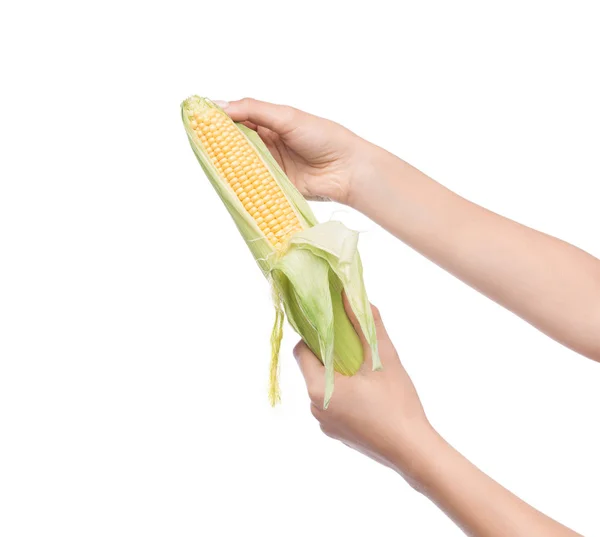 Woman peeling sweet corn isolated on white — Stock Photo, Image