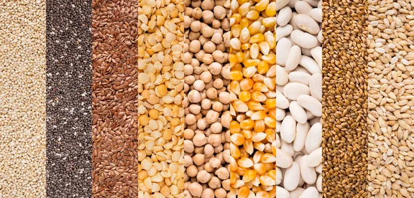 Линии с различными типами зерна на белом — стоковое фото